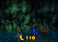 A setup for a Golden Banana for Tiny Kong on DK Isles.