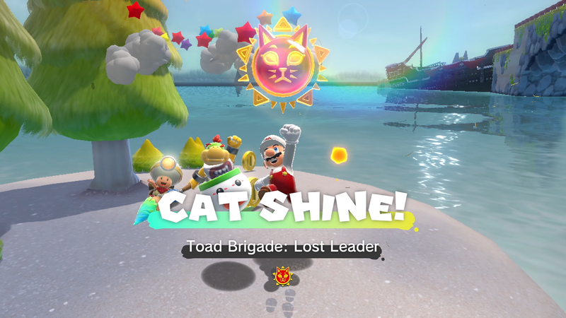 File:LakeLapcat ToadBrigadeLostLeader.png