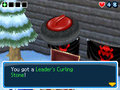 Leader's Curling Stone
