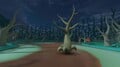 View of a Walking Tree