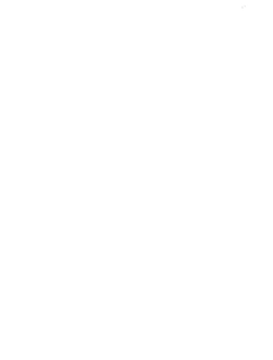 Composite map of the Golden Rally for Mario Kart World