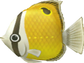 Fish (yellow)