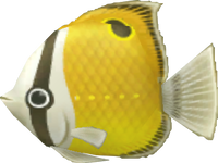 SMG Asset Model Fish (Yellow).png