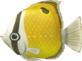 Fish - Super Mario Wiki, the Mario encyclopedia