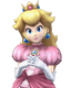 Character select preview from Super Smash Bros. Brawl