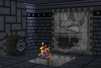 A Guard Door in Bowser's Castle