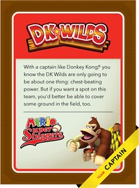 Level3 Donkeykong Back.jpg