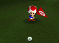 Luigi's ball went Out of Bounds in the intro.