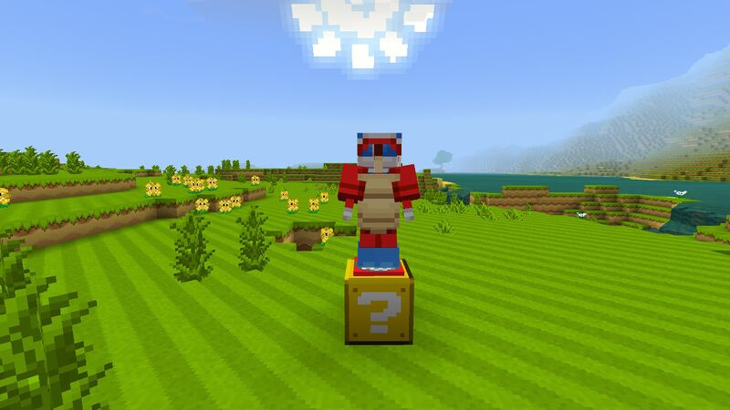 File:Minecraft Mario Mash-Up Boomerang Suit.jpg