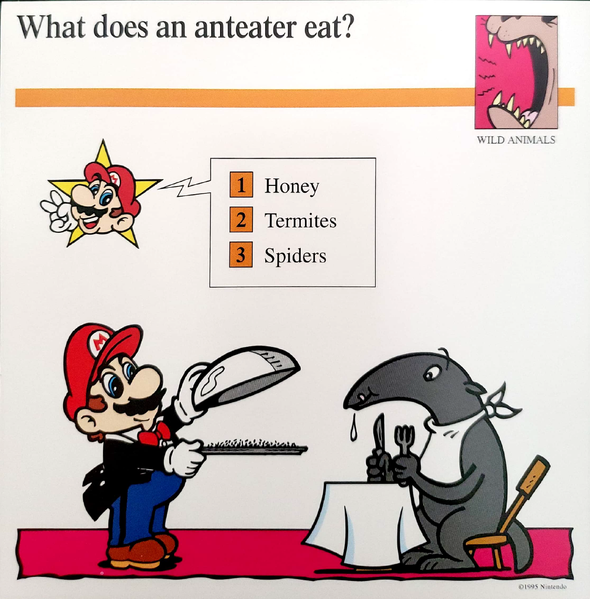 File:Anteater quiz card.png