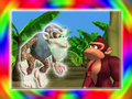 DKC2 gallery 6.png