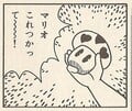 Lady's Dash Mushroom Page 63