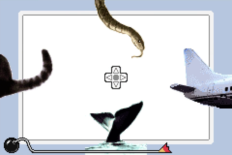 File:NM WWIMM Quickie Quiz.png