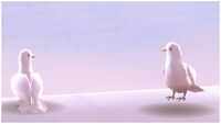 Two white pigeons in Cloud Kingdom