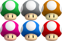The Mushroom Collection.png