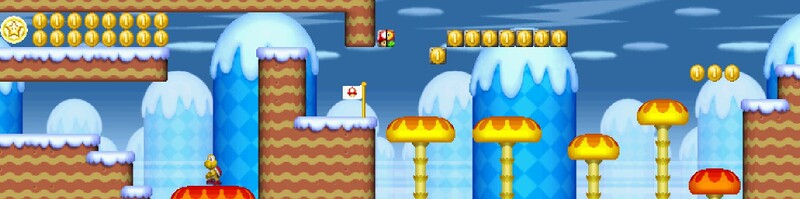 File:NSMB W5-4 2nd Star Coin.jpg