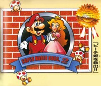 SMBLL Mario and Peach Flyer.jpg