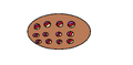 Thumbnail for version as of 12:26, July 19, 2025