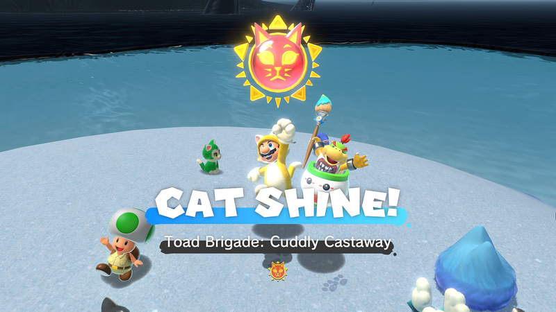File:LakeLapcat ToadBrigadeCuddlyCastaway.png
