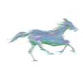 A running horse