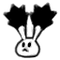 Star Bunny