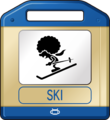Ski - Game & Wario.png