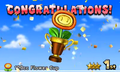 The Flower Cup trophy in Mario Kart 7.
