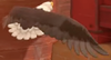 An eagle seen in Mario Kart World