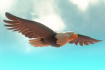 An eagle seen in Mario Kart World