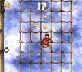 The heroes climb in the level's third Bonus Level in the original version of the game