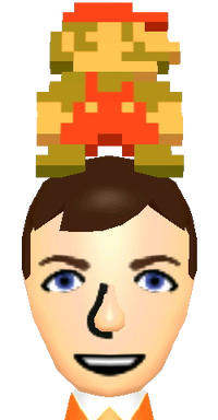 MiiPlazaPixelMarioHat3DS.png