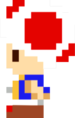 Toad using the Bitsize Candy from Mario Party 8