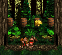 The first Bonus Level in Forest Frenzy from Donkey Kong Country