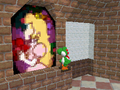 The window leading to The Princess's Secret Slide in Super Mario 64 DS