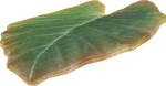 Model of a leaf platform from The Subspace Emissary in Super Smash Bros. Brawl. The internal name for it is "konoha01"