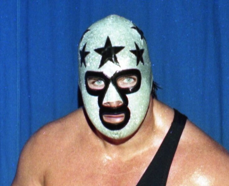 File:Shroom 221 Masked Superstar.jpg