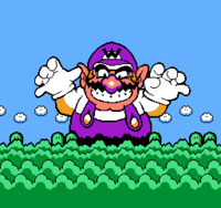 A scene showing the control of Wario over the Peaceful Woods.
