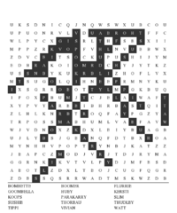 Word Search Answers 116.png