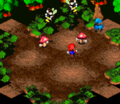 Mario is required to follow Geno in the forest.