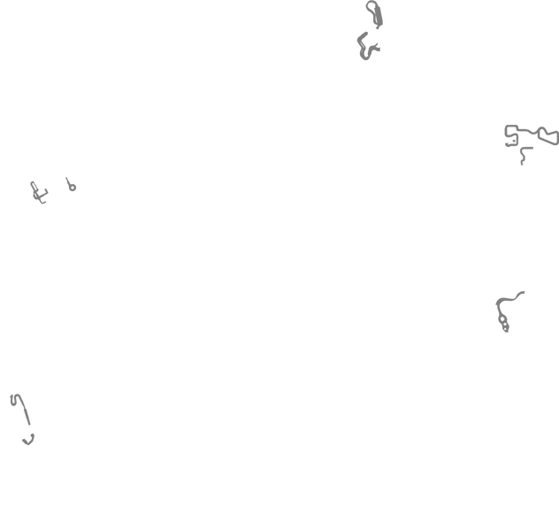 File:Heart Rally Tracks.png