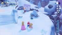 A roaming Flamin' Stooge on Pristine Peaks
