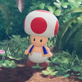 Toad[1]