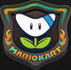 The icon for the Boomerang Rally in Mario Kart World.