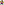 Artwork of Wario for Mario Party 6