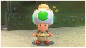 Brigade Green Toad - Super Mario Wiki, the Mario encyclopedia