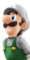 Super Smash Bros. for Nintendo 3DS / Wii U (Fire Luigi)
