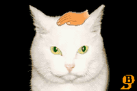 Pet Cat in WarioWare: Twisted!