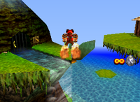 A Golden Banana for Diddy Kong on DK Isles.