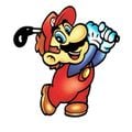 Mario (from the cover)