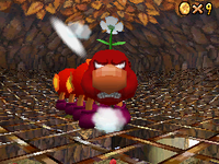 SM64DS Wiggler.png